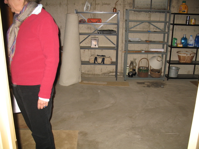 Downstairs storage room
