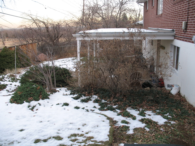 Back yard, from left side of house