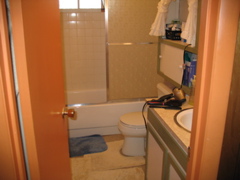 Downstairs bathroom