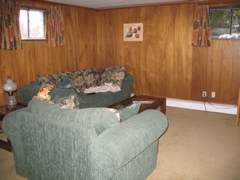 Downstairs rec room