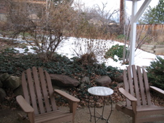 Back yard
