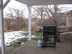 Back yard