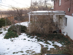 Back yard, from left side of house